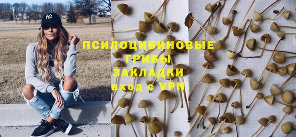 индика Аркадак