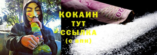 индика Аркадак