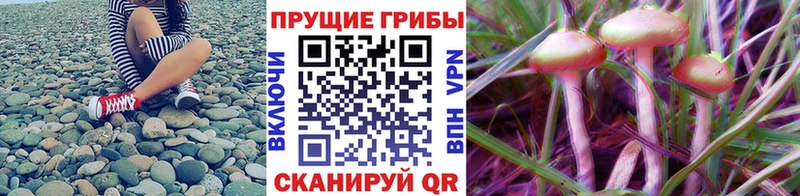 Псилоцибиновые грибы ЛСД  Купить  Почеп 
